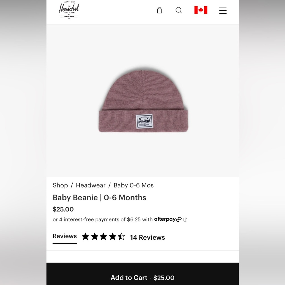 NWT Herschel beanie